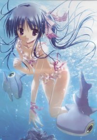 BUY NEW tinkerbell - 182820 Premium Anime Print Poster